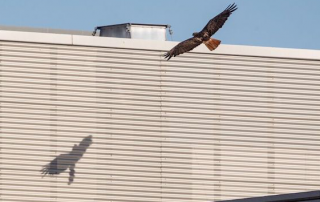 Amir Aziz for The Oaklandside